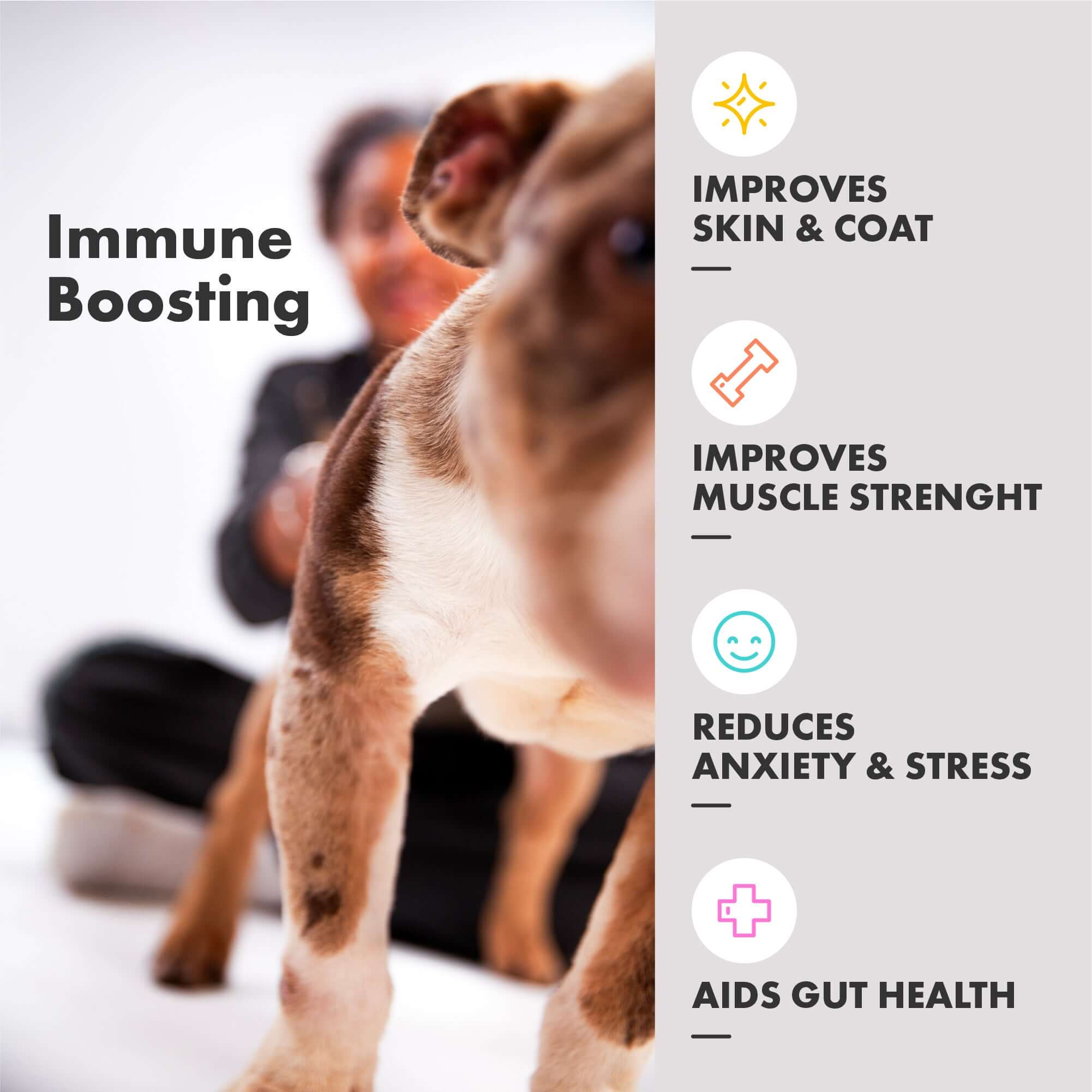 Health benefits boost immune system, gut health, prebiotic, skin and coat health