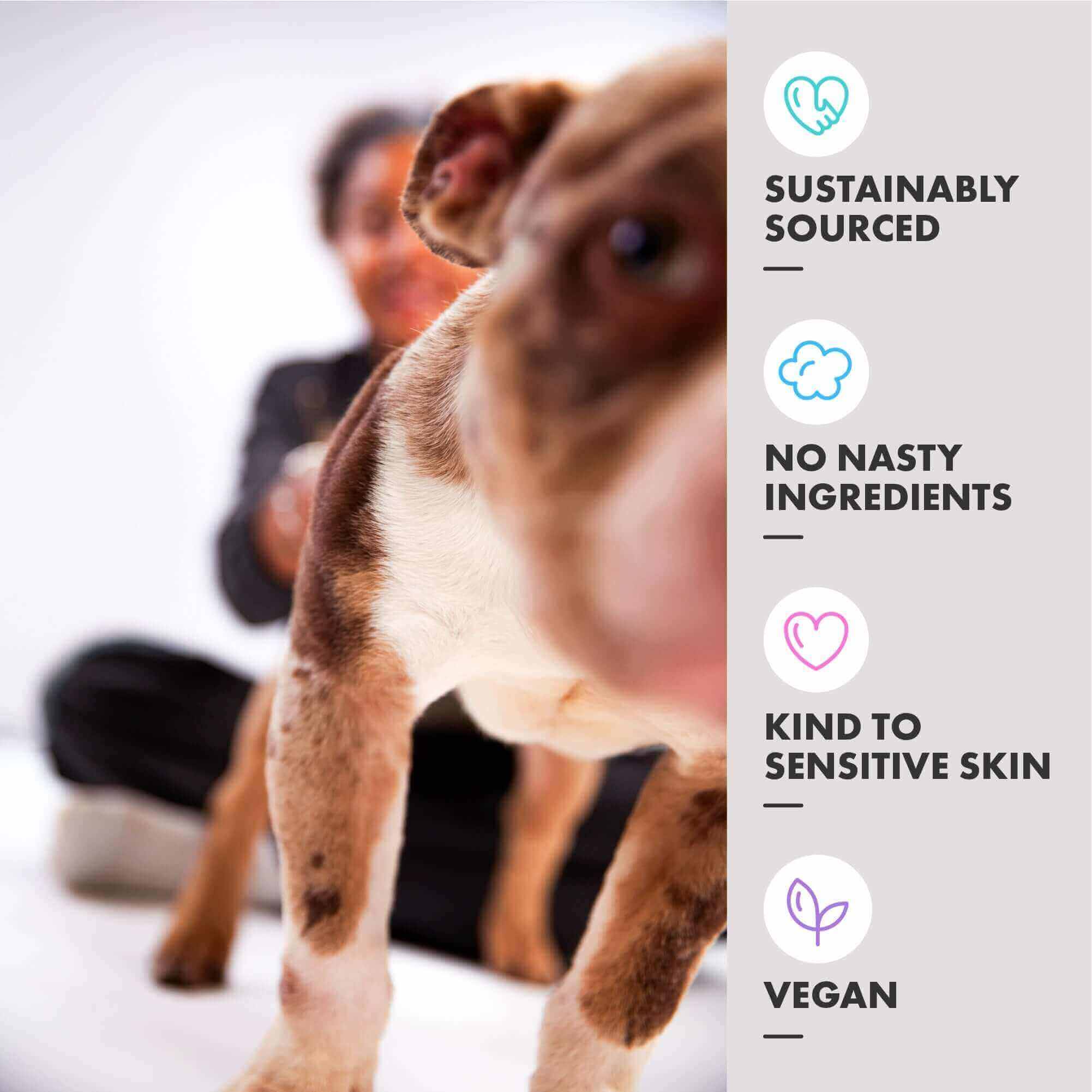 Vegan no nasties prebiotic dog shampoo for a healthy skin and coat