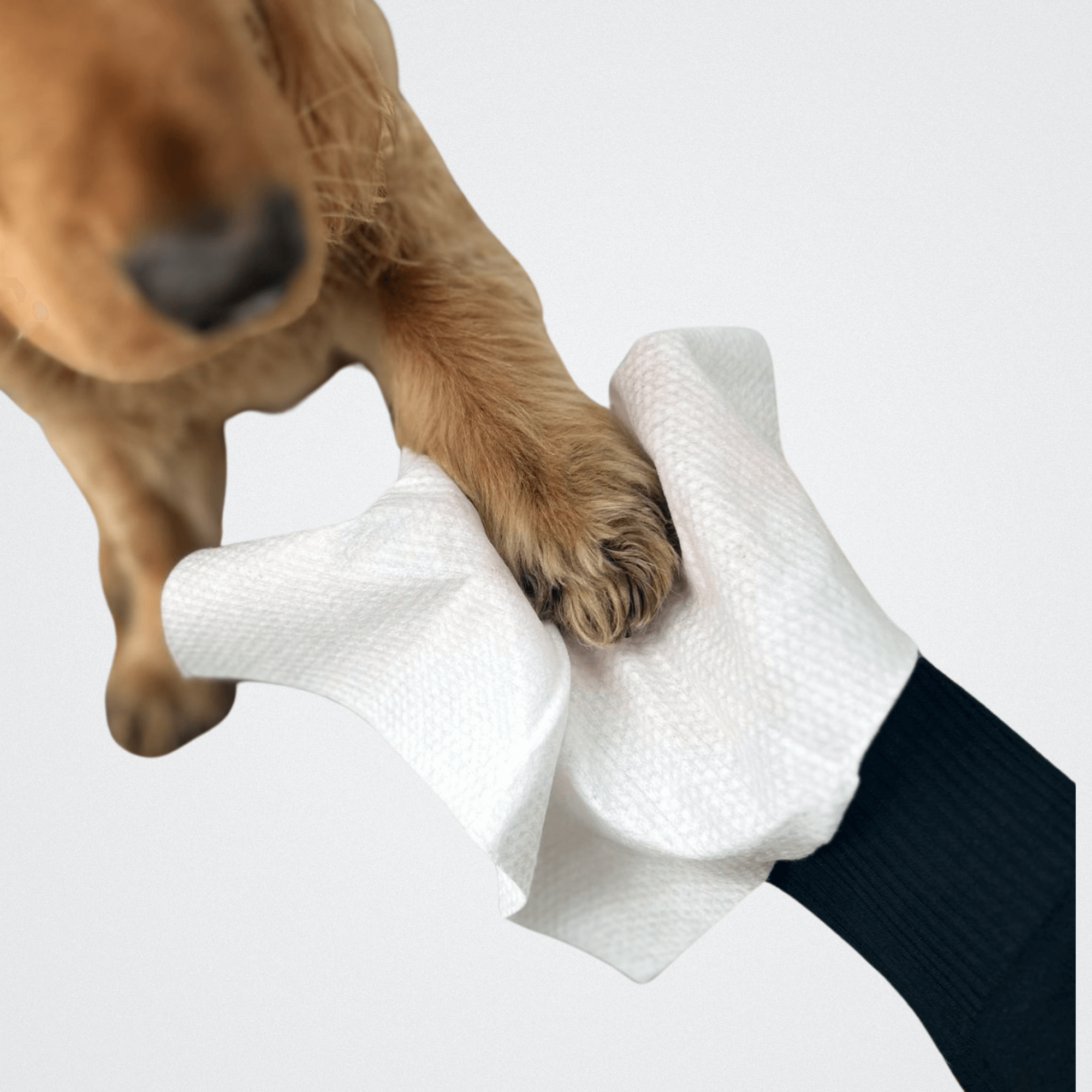 Mini Eco Towels perfect for drying wet paws, wiping faces and drying sensitive areas